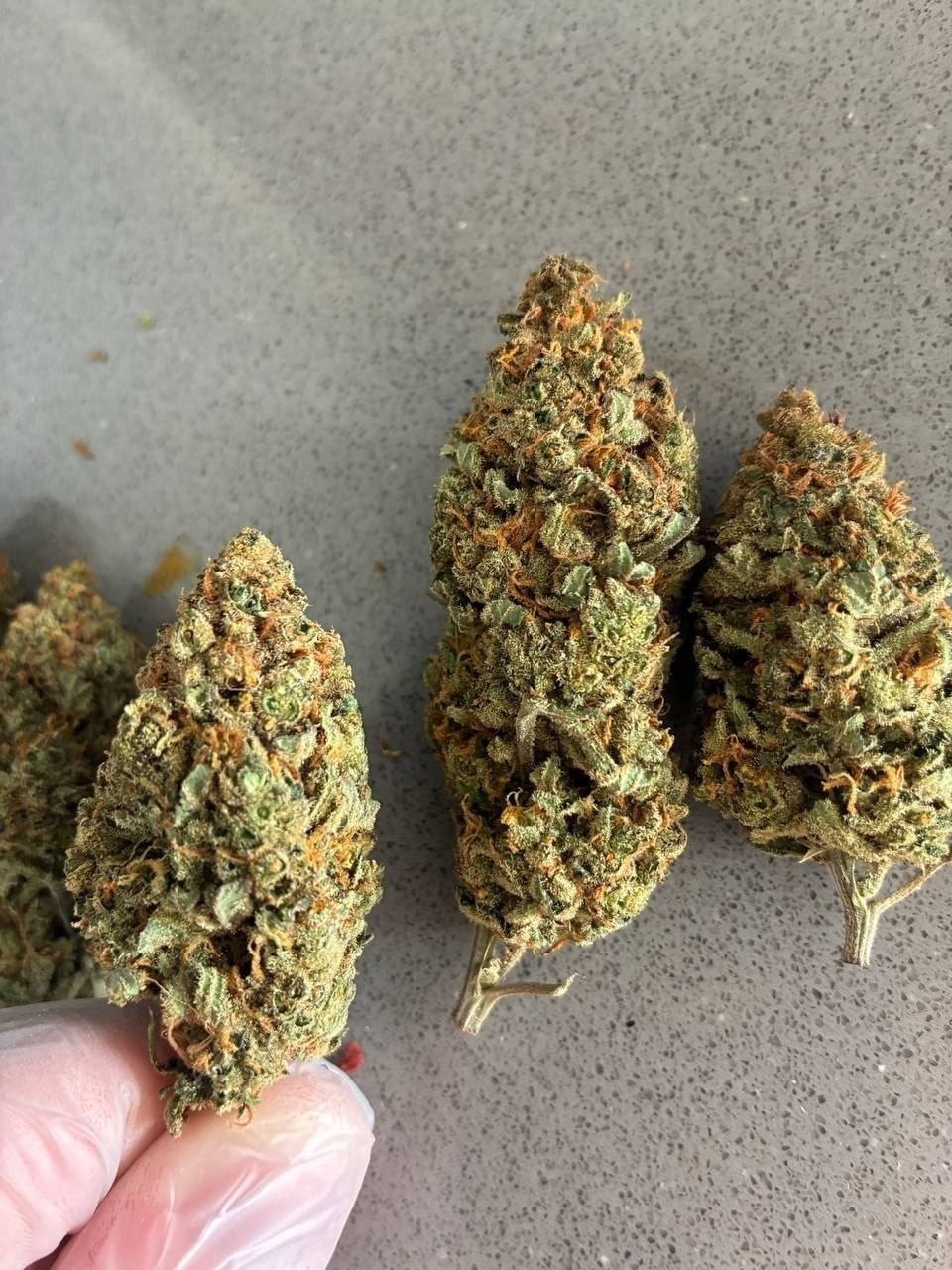 5g Marijuana 🥦 WIW🥦 Paljassaare (🌿Amnesia)
